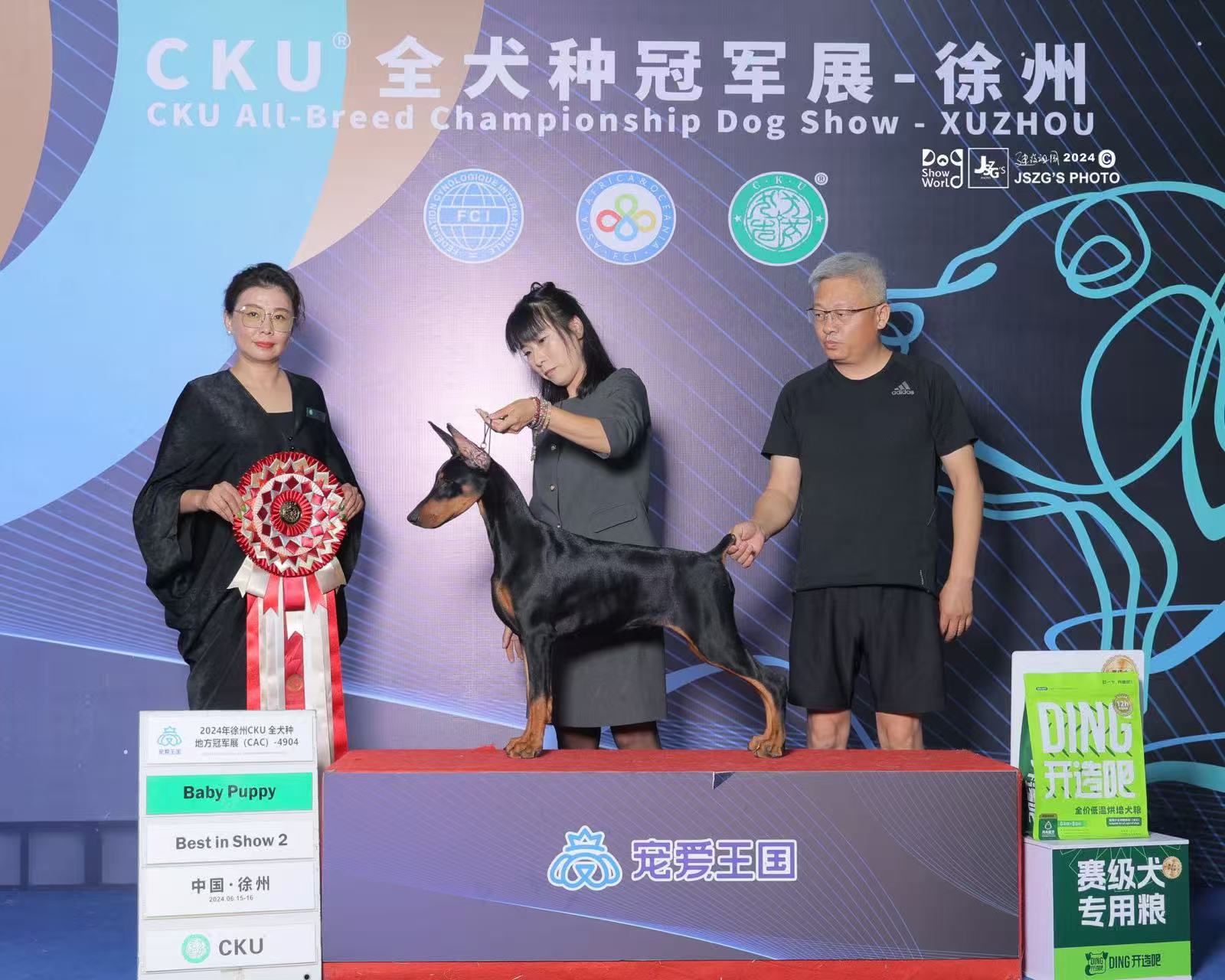 美系杜宾幼犬，3针疫苗齐全，双血统美系，冠军后代。